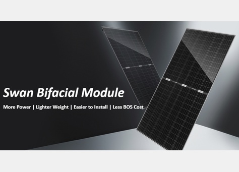 JinkoSolar's Swan module (pictured), however the module manufacturer his not disclosed which panels in particular will be used in this project. Image: JinkoSolar. 