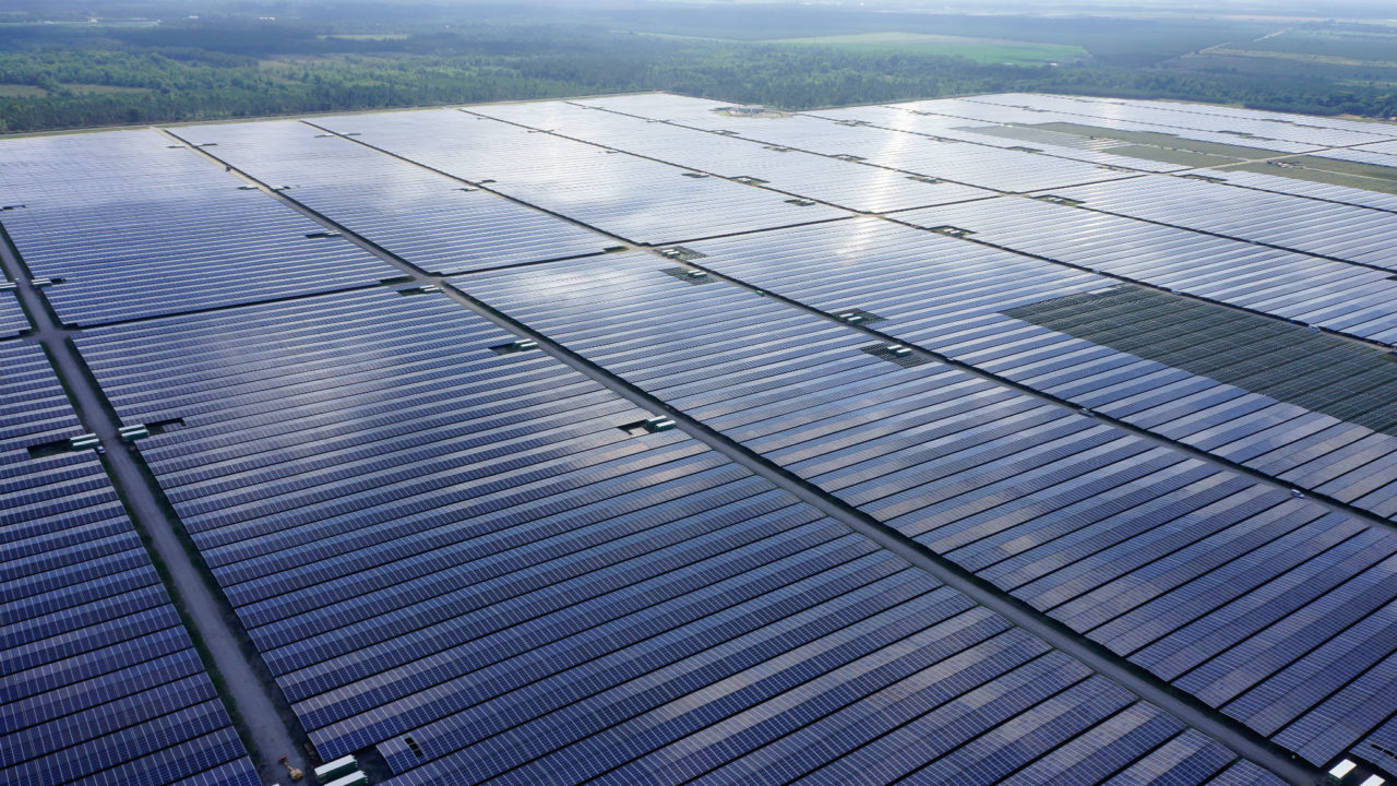 The 3GW ground-mounted auction programme supports PV with premium tariffs (Credit: Neoen)