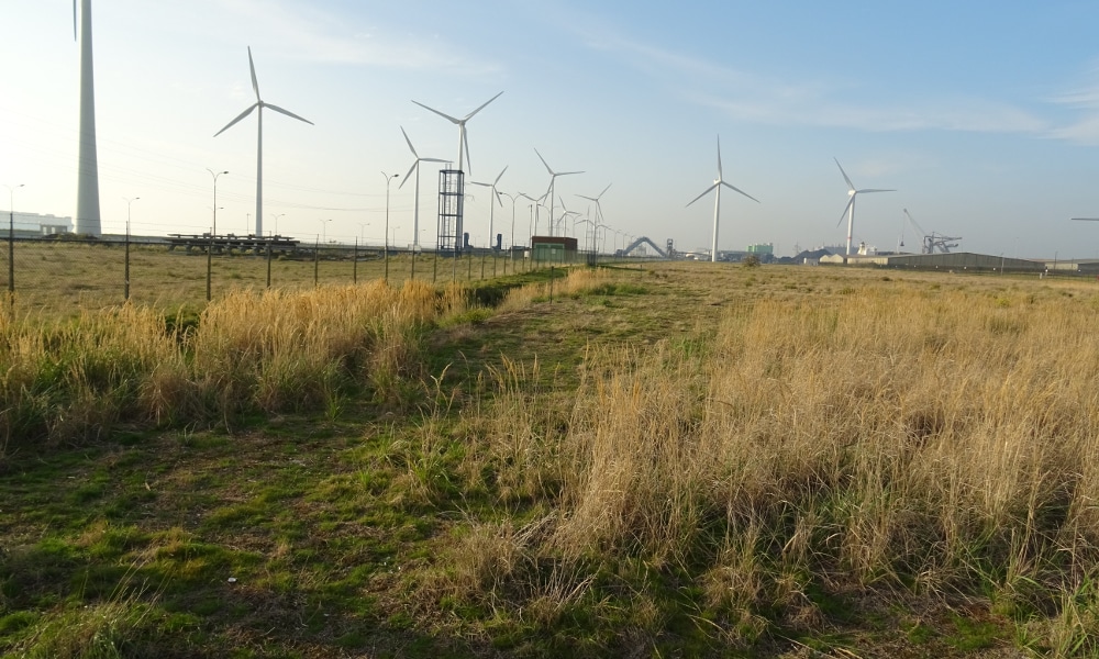 The Borssele nuclear power plant is the last operational nuclear plant in the Netherlands. Credit: Pfalzsolar