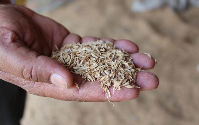 The rice husk fuel that is procured from a site nearby the village. Credit: Tom Kenning