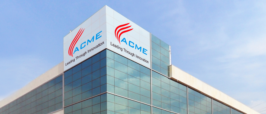 ACME CONSULTANCY