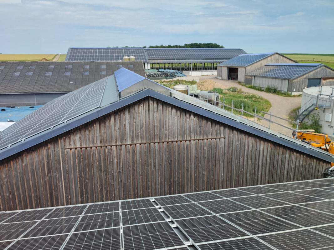 Sharp and JOMAsolar extend partnership for solar projects in Belgium and Luxembourg