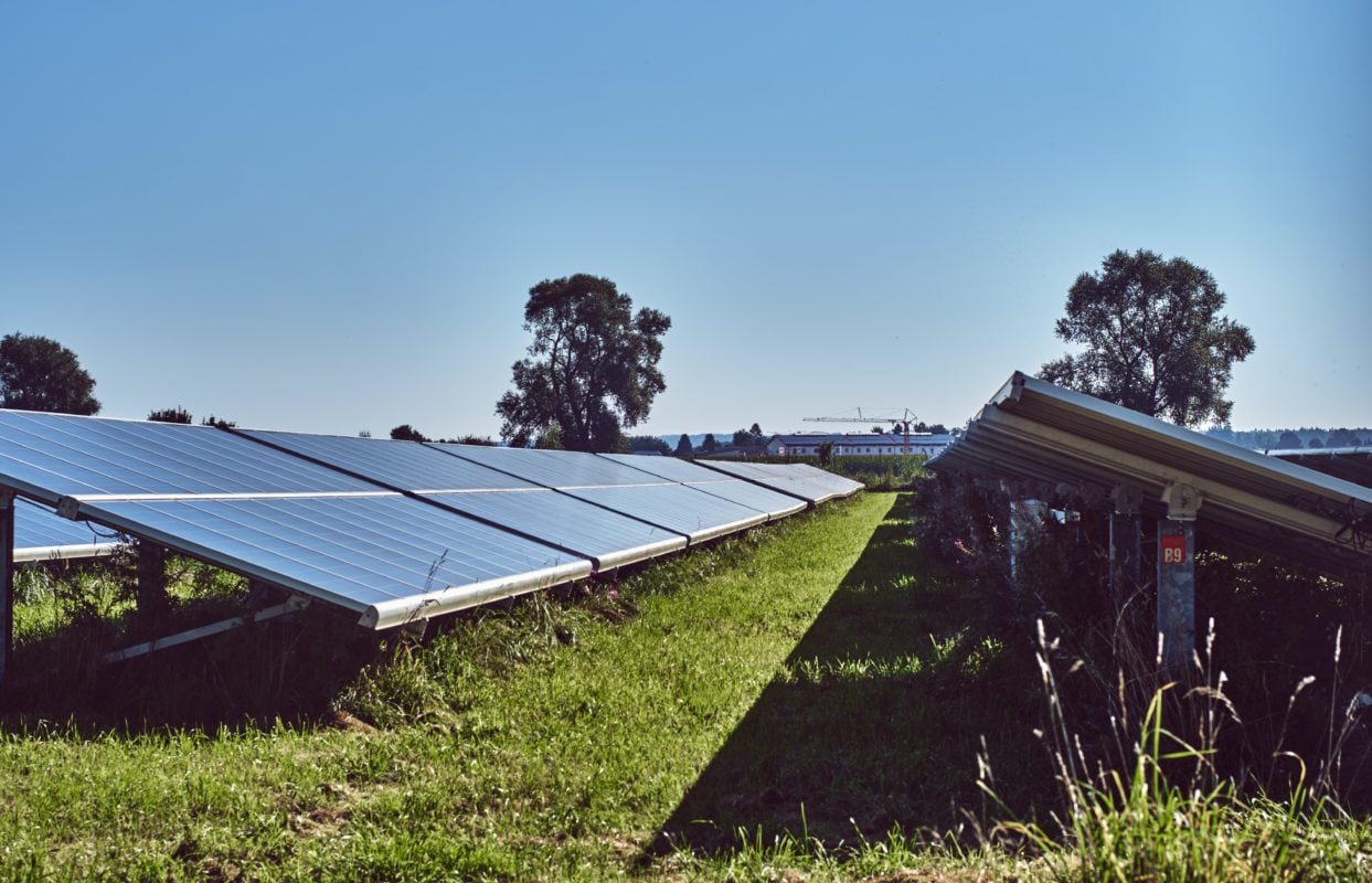 Solar PV module array in field