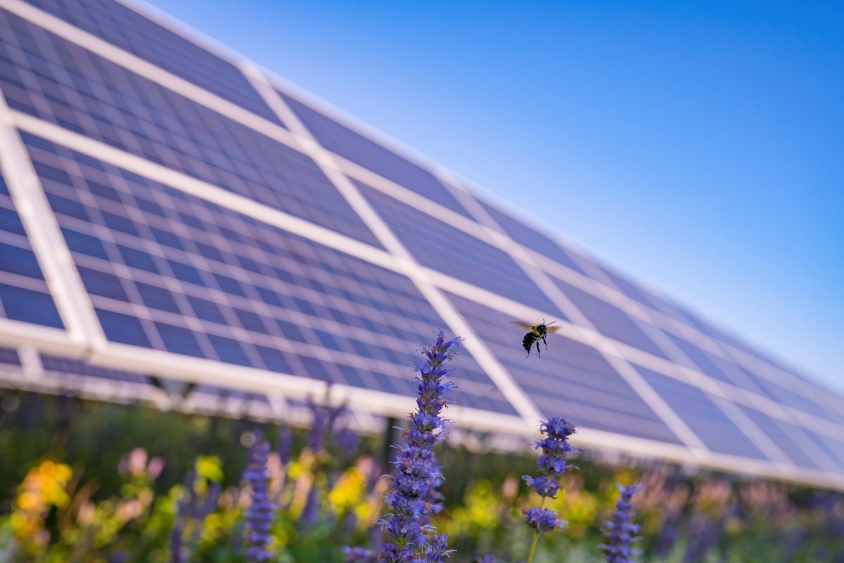 Enel Green Power Commissions 63MW Solar PV In Romania