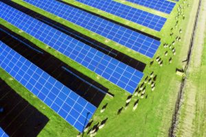 Harmony Energy to co-develop 200MWac solar PV plant in New Zealand with ...