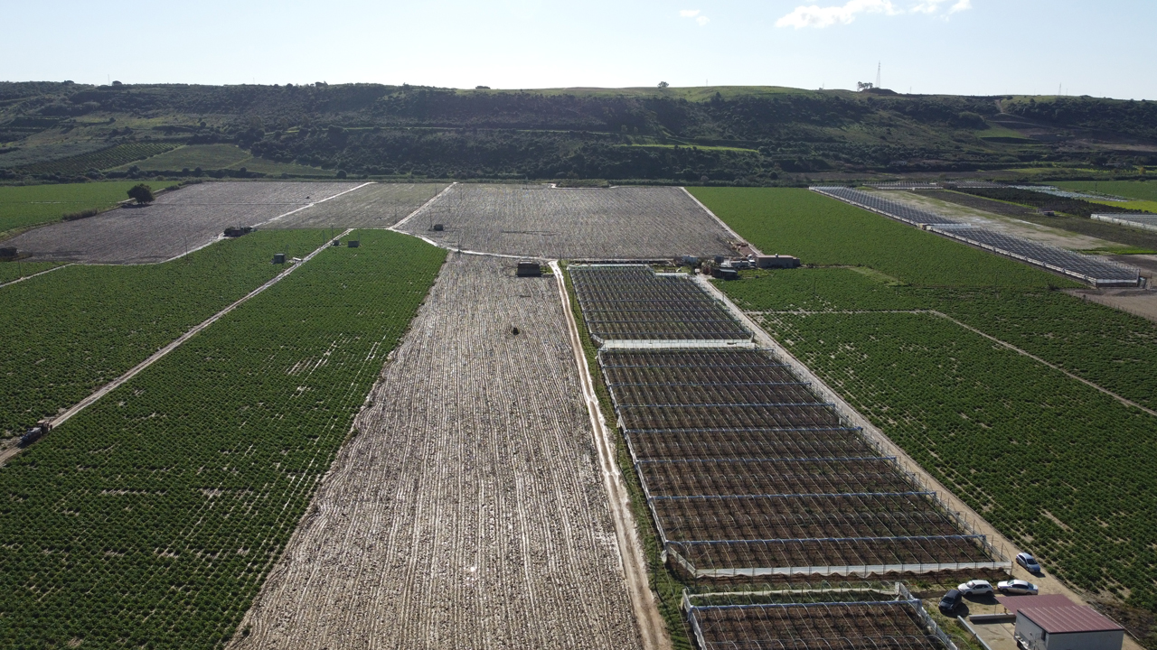 Emeran adquiere una cartera solar lista para producción de 86MW en España