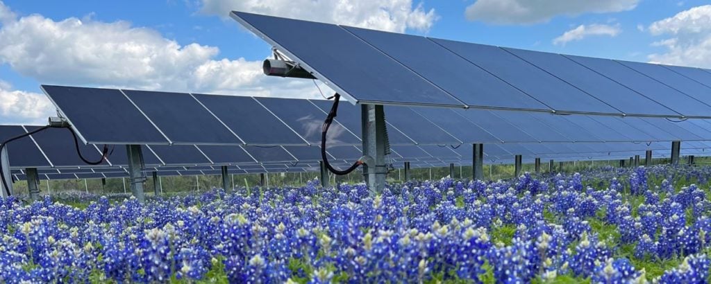 Lightsource bp 163MW solar PV plant in Texas