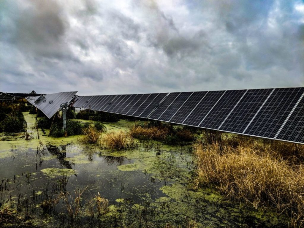 Solar panels mounted on a swamp