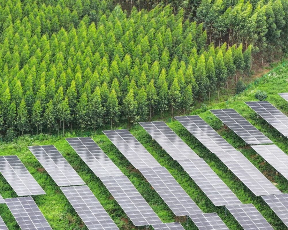 Tongwei panels.