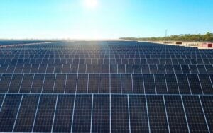 trina solar