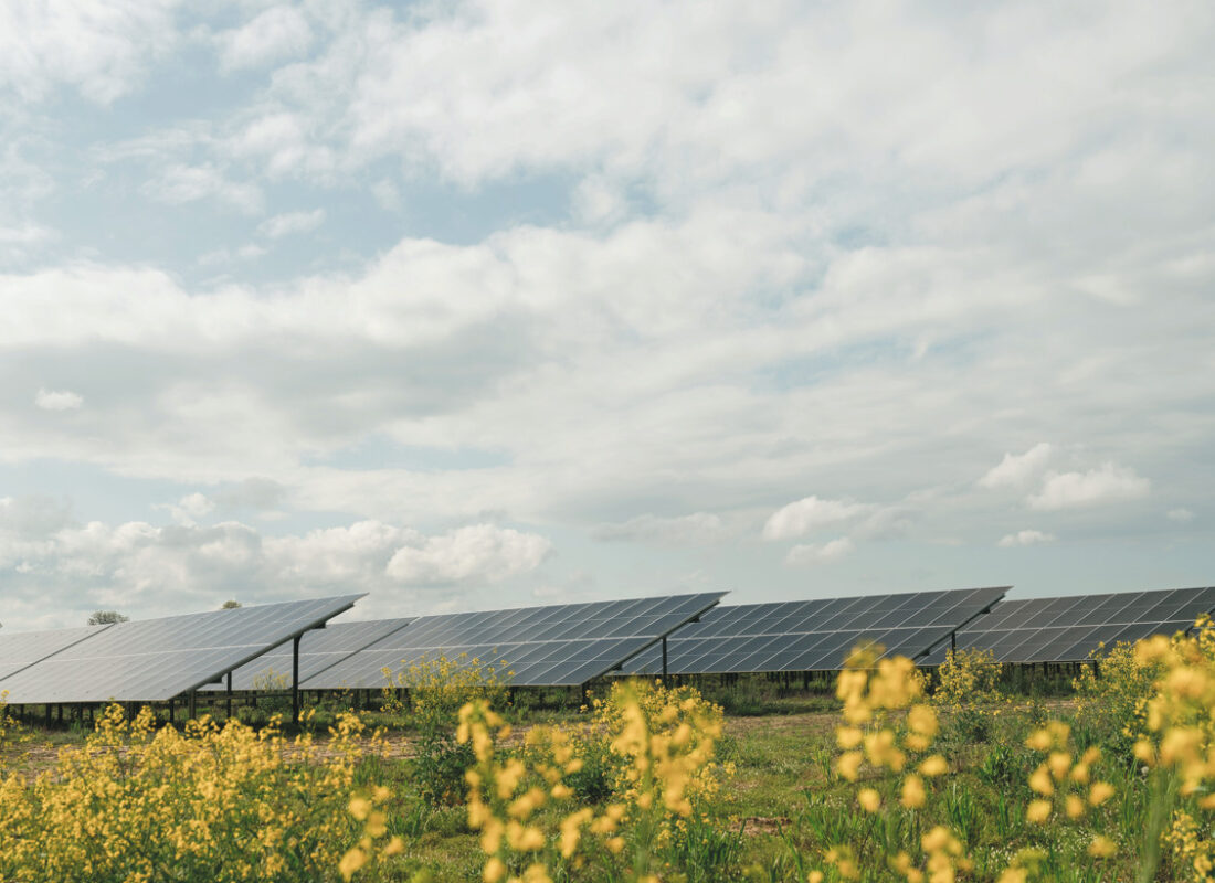 An Equinor solar project.