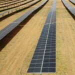 JinkoSolar plans 133MW solar-plus-storage site in New South Wales, Australia