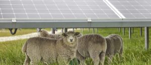 JV reaches financial close on 202MW solar plant in New Zealand - PV Tech
