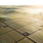 Solar and wind set new generation record in Australia’s NEM