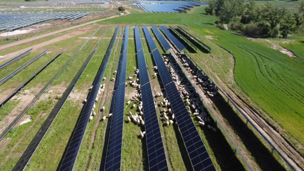 Solaria secures financing for 175MW Spanish PV plant linked to the development of a data centre