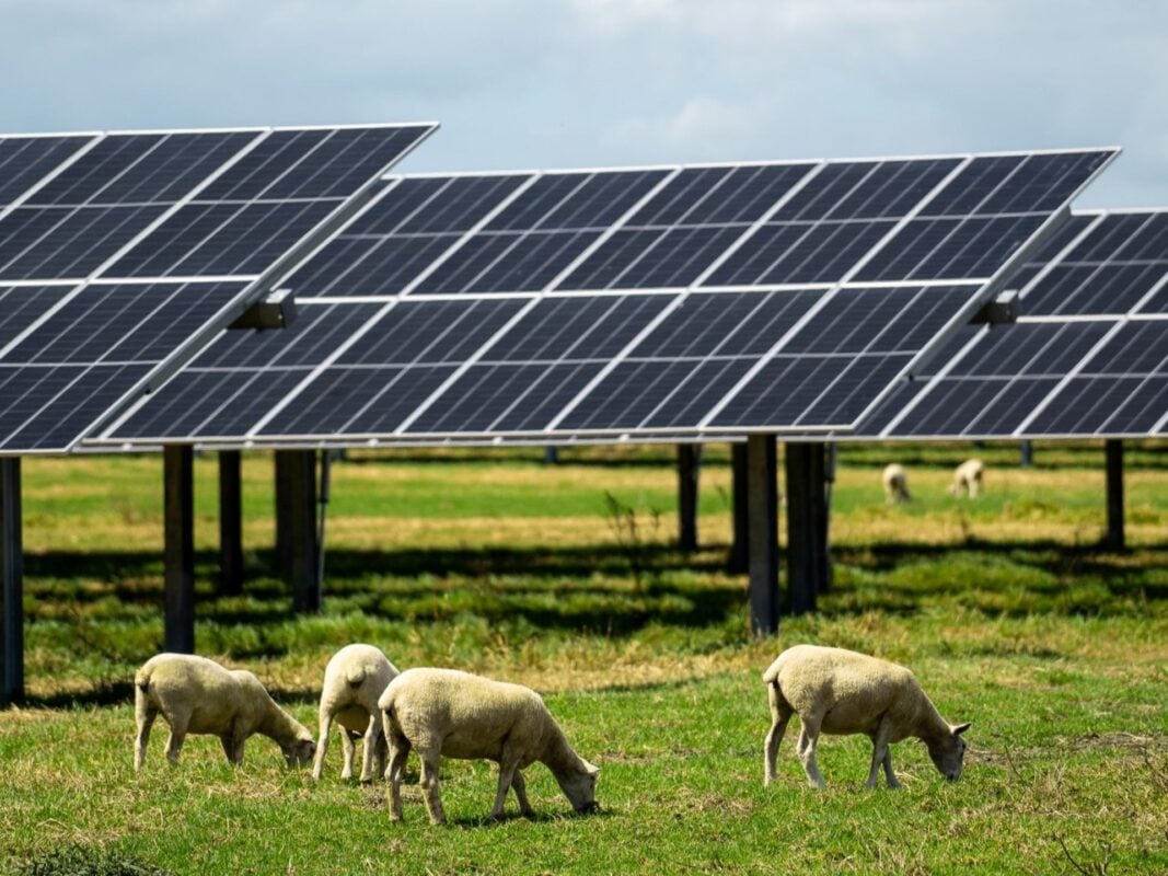 headline: Lodestone Energy begins construction of 28MW solar