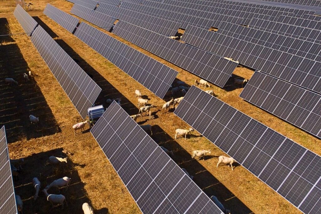 Nexwell Power increases its Spanish solar portfolio with 250MW projects from Q Energy