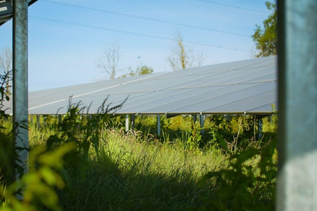 Larks Green 70MW/99MWh solar-plus-storage project in the UK from Cero Generation and Enso Energy