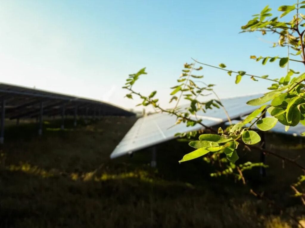 A Statkraft solar project.