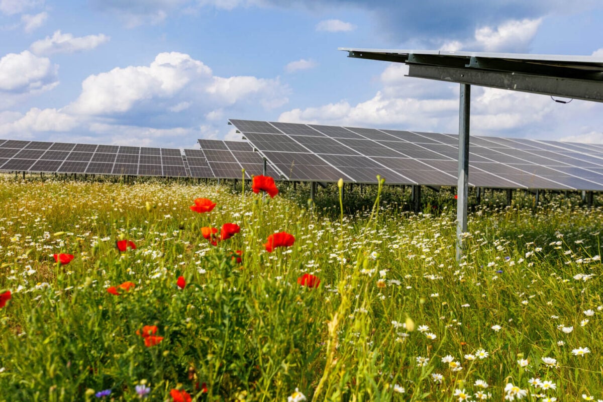 Germany awards over 2.1GW of utility PV in latest oversubscribed tender