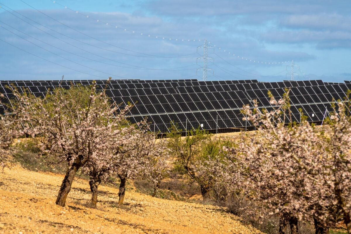 EUROPE ROUND-UP: Encavis acquires solar PV portfolio in Italy, Iberdrola and Sonnedix advance Spanish projects