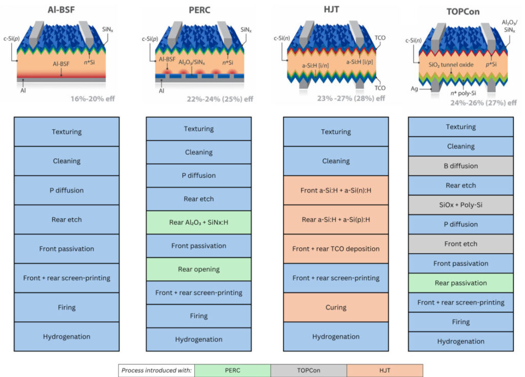 Cell processing