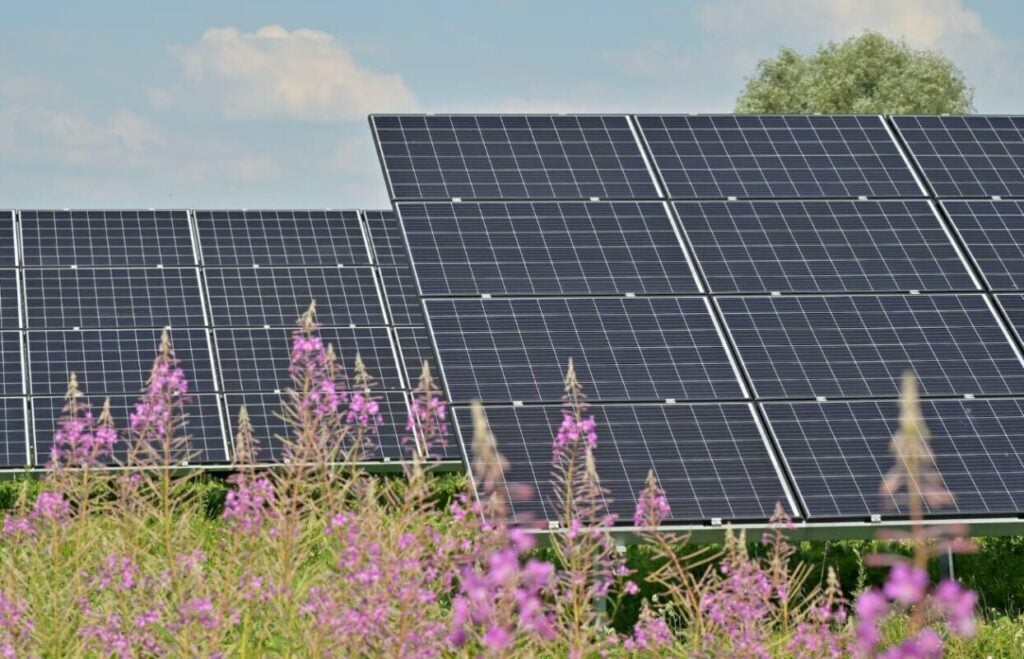 A Fieldworks Power community solar project.