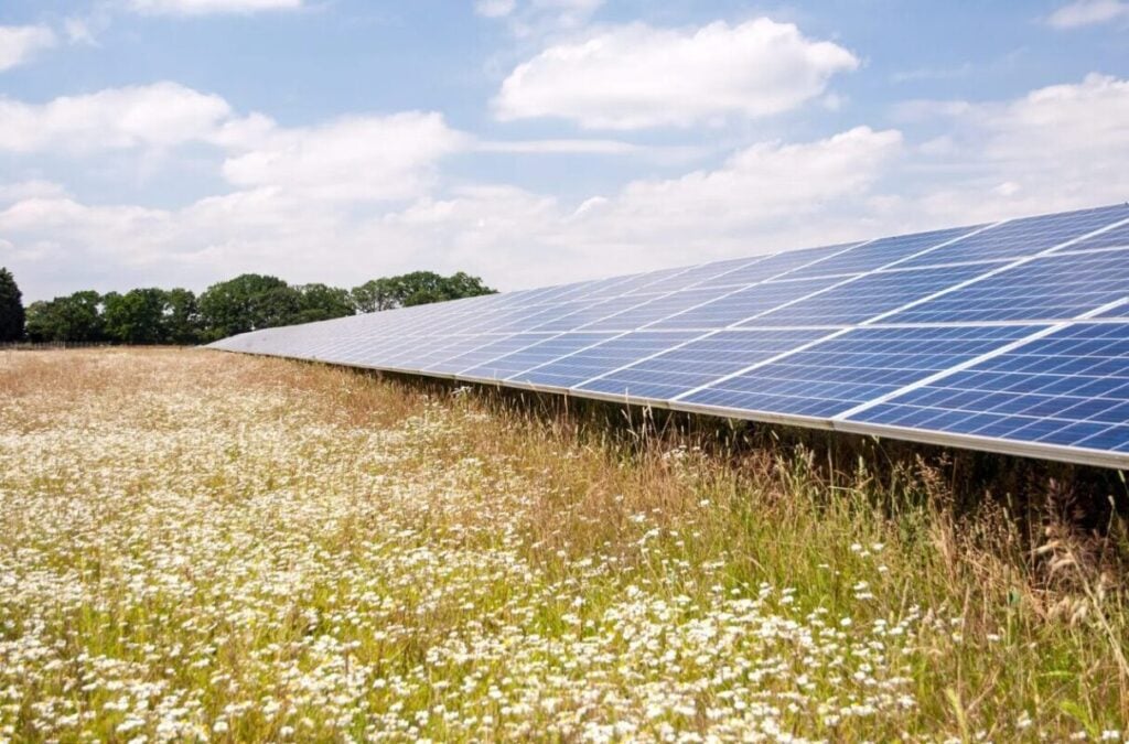 A Low Carbon solar project.