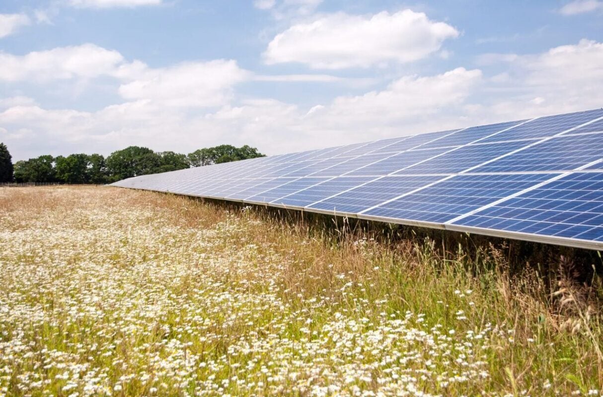 Europe plays ‘critical role’ in renewable energy manufacturing and services