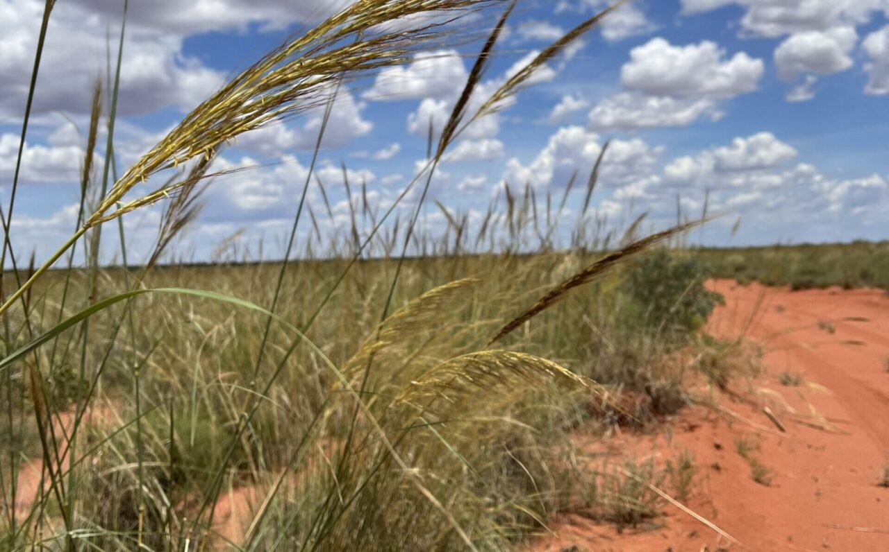 26GW Australian Renewable Energy Hub secures AU$21 million ARENA boost for Pilbara green hydrogen push
