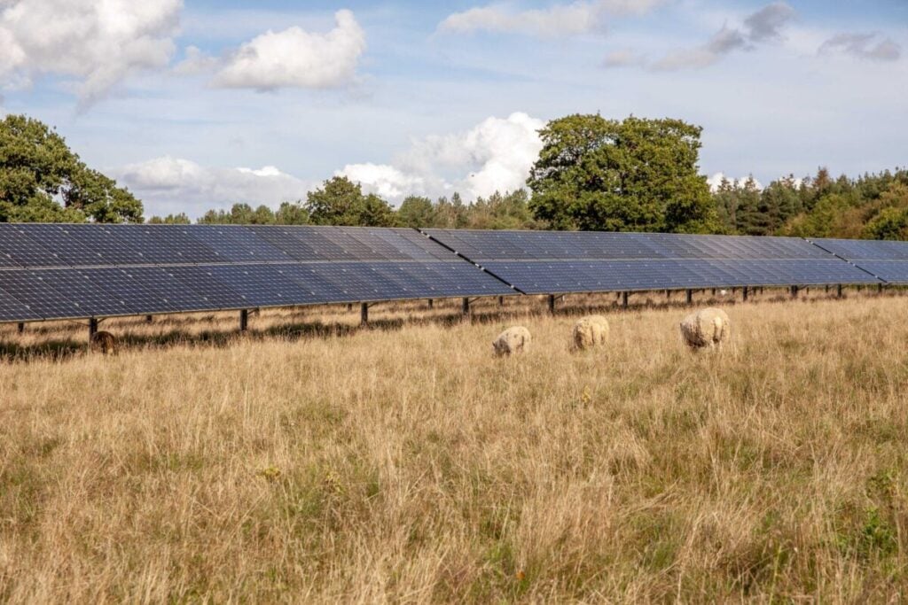 Mill Farm solar PV project in England from developer Island Green Power