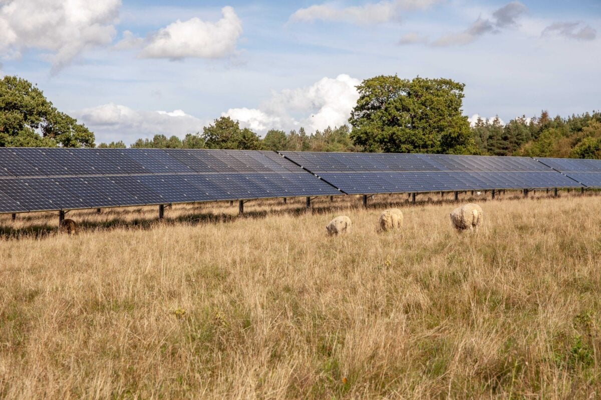 UK awards 4.9GW solar PV in latest CfD round