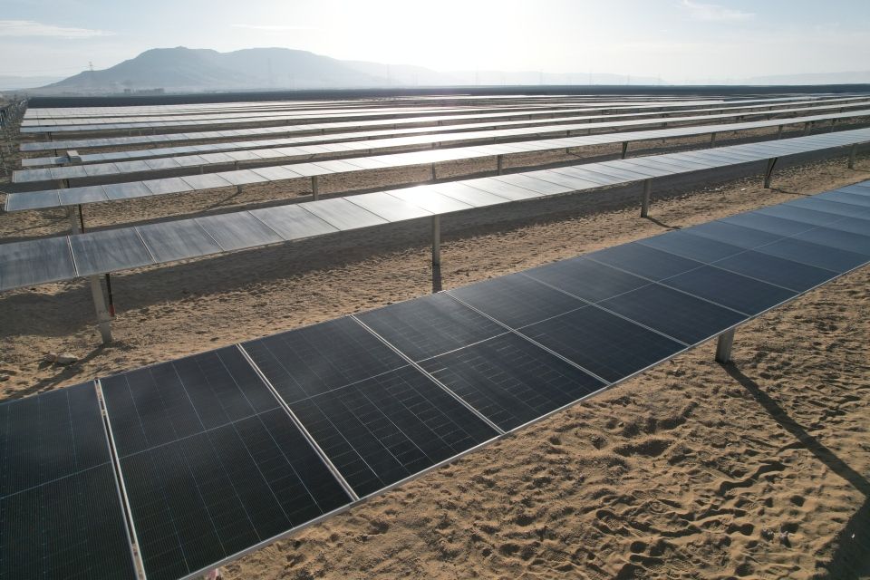 Solar panels at Scatec's Obelisk solar-plus-storage project in Egypt