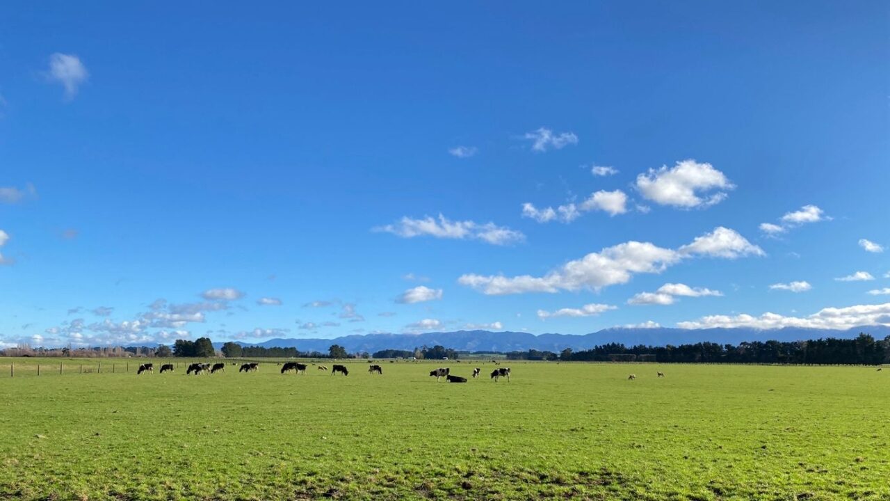 Anza Power acquires 205MWac of construction-ready solar plants in New Zealand