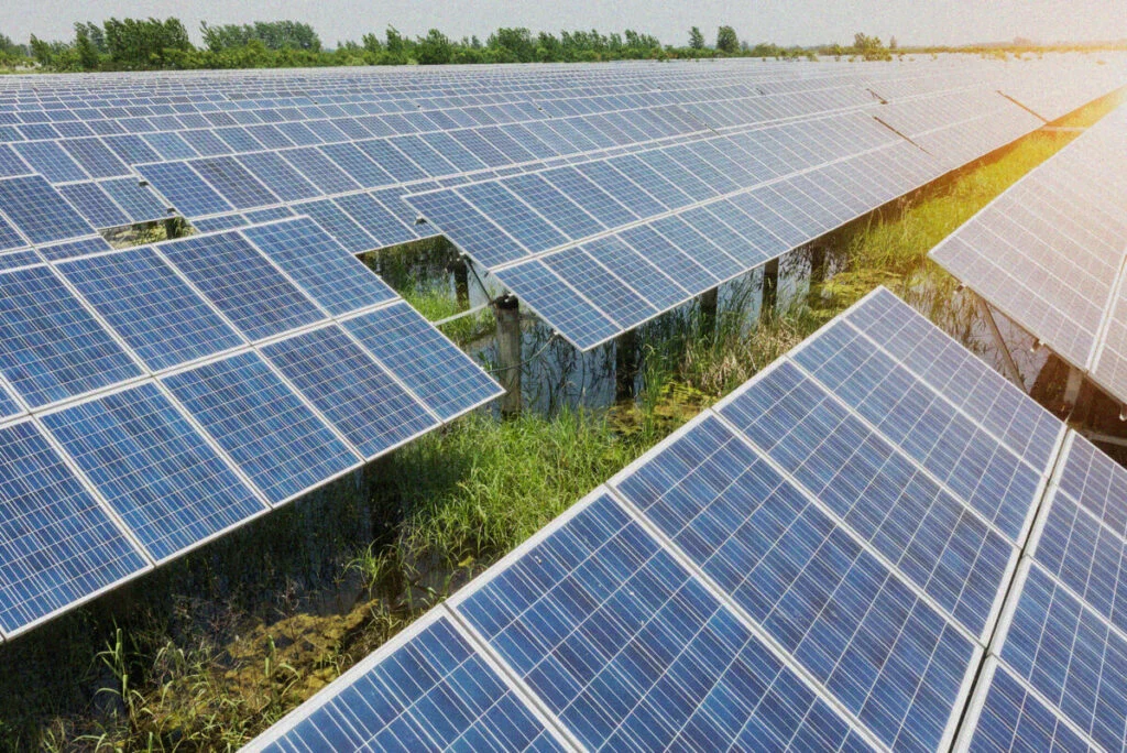 An Actis solar PV project.