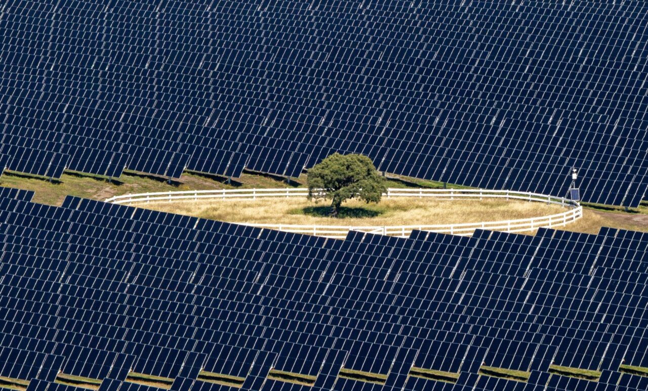 New Zealand PM opens South Island’s largest solar PV plant at Christchurch Airport