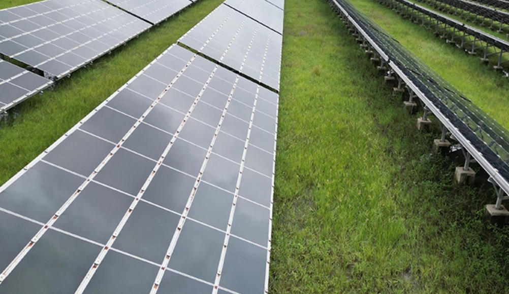 An ACME Solar project.