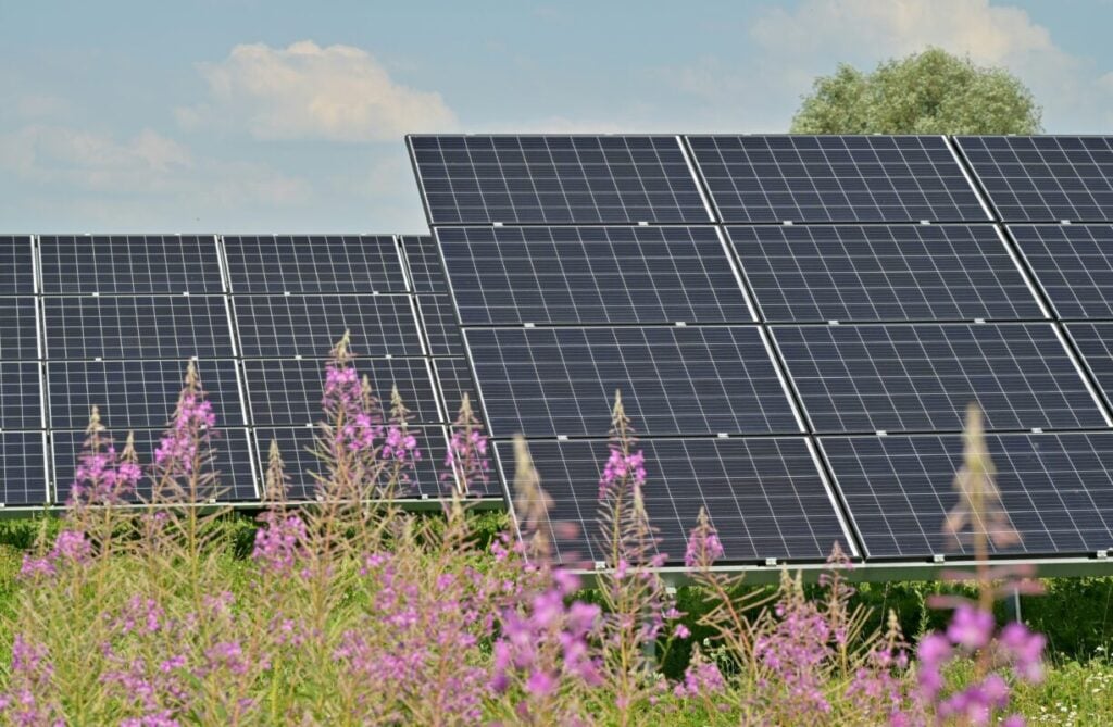 Cox’s 75.2MWp Chiquimulilla solar project in Guatemala, expected to generate 167,600MWh of renewable electricity annually.