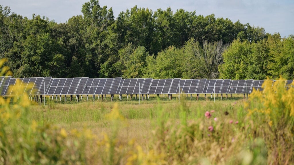 A solar PV project.