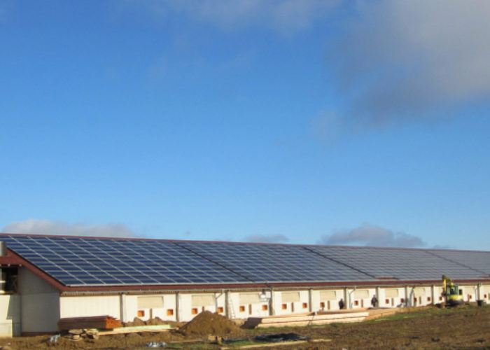 1MW-Conergy-rooftop-installation-on-barn-roofsUckerland-Germany_1_-_low_res