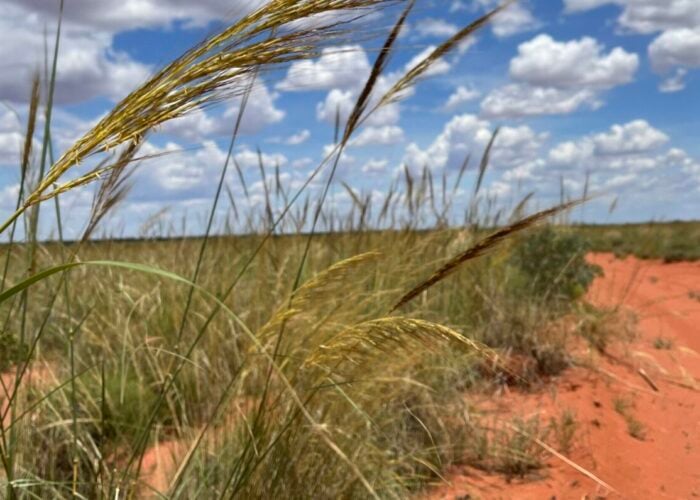 Image: InterContinental Energy.