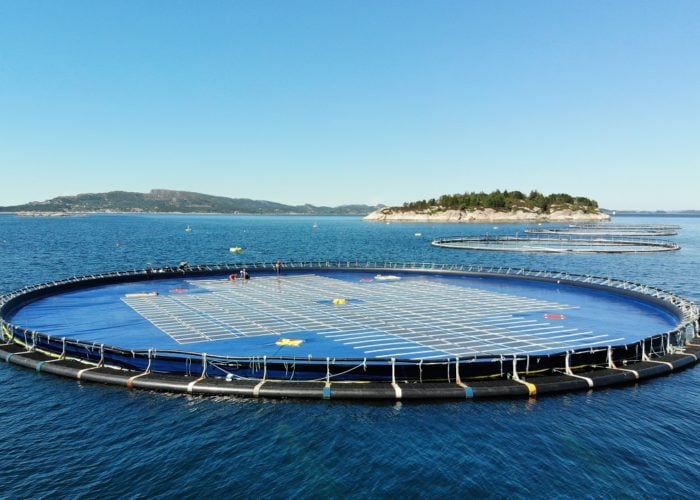 A floating solar test system installed by Ocean Sun off the coast of Norway. Image: Ocean Sun.