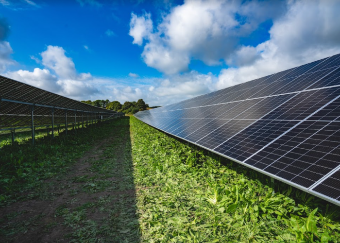 Alight Solar Farm Sweden