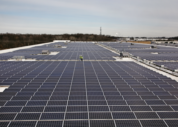 Amazon Rooftop Solar Farm