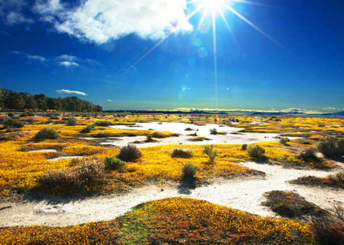 Antelope_Valley_-_Rennett_Stowe