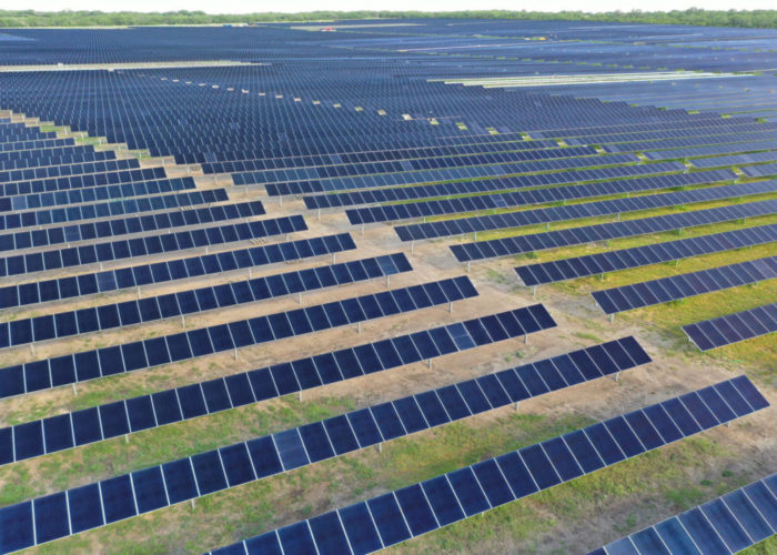 Brightside Solar Facility, Live Oak County, TX. Photo Courtesy: Burns & McDonnell