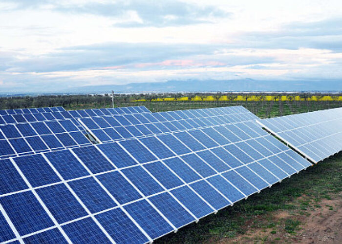 Casale_Solar_Park_Italy_550