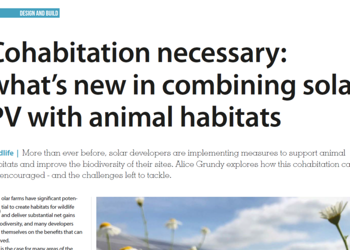 Cohabitation necessary - what’s new in combining solar PV with animal habitats