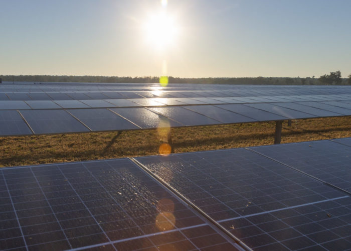 Cool Springs Solar Energy Center commissioning at Bainbridge, Georgia on November 17, 2021.