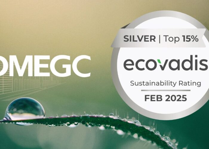 DMEGC Solar Honored with EcoVadis Silver Medal for Sustainability